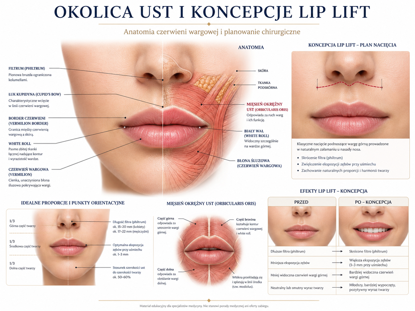 Profesjonalna ilustracja lip lift i anatomii ust