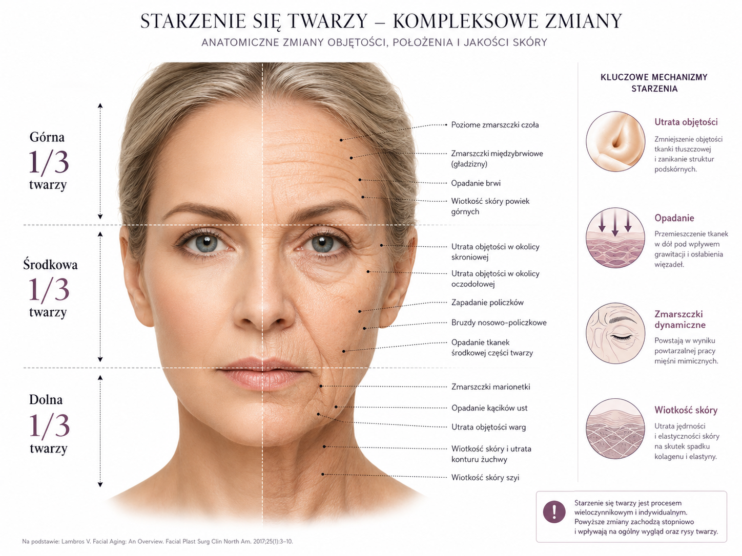 Profesjonalna ilustracja starzenia się twarzy